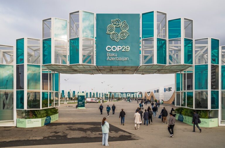 COP 29